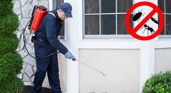 Osmangazi Dezenfeksiyon böcek ilaçlama ve haşere kontrolü — ilaclama-tr.com